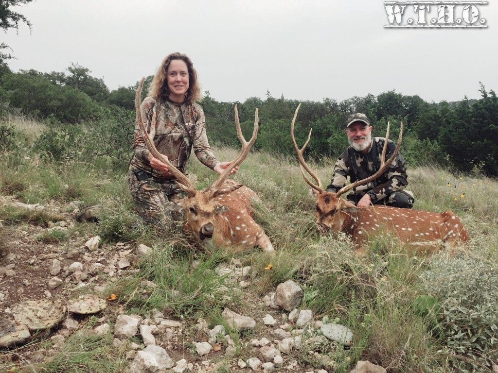 An Axis Filled Week - Texas Hunting Forum